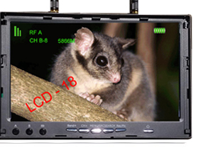 nest box inspection camera