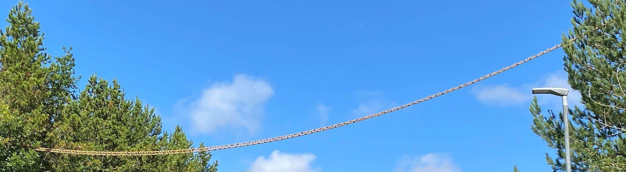 nestbox banner B