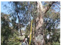 nest box inspection camera
